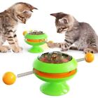 New Cat Training Toy Funny Interactive Ball Teasing Cat Toys  Indoor Adult Cats