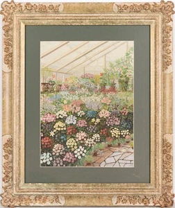 The Greenhouse - A profusion of plants and flowers in bloom, Modern 20th Century - Picture 1 of 8
