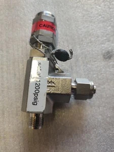 Swagelok SS-4R3A-EP Stainless Steel High Pressure Proportional Relief 1200 PSIG - Picture 1 of 3