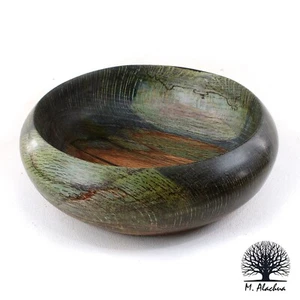 Spalted Dyed Wild Oak Signed Hand Turned Bowl 2025 Mike Alachua #012 USA - Bild 1 von 4