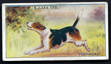 LEA - DOGS (1-25) - #15 FOX HOUND