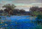 Texas Fields of Bluebonnets Landscapes Oil painting Wall Art Repro on Canvas