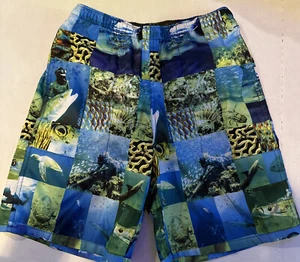 Reel Legend Youth Boys Blue Multi Size Medium Swim Shorts Pockets - Picture 1 of 13