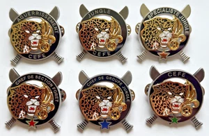 3° R.E.I, LEGION, AGUERRISSEMENT C.E.F.E, JUNGLE FORET LOT DE 6 INSIGNES - Picture 1 of 2