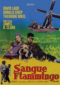 sangue fiammingo DVD Italian Import (DVD) Theodore Bikel Donald Crisp David Ladd - Imagen 1 de 2
