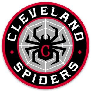 Cleveland Spiders - Spider with Classic "C" & Web Logo type Die-cut round MAGNET - Picture 1 of 1