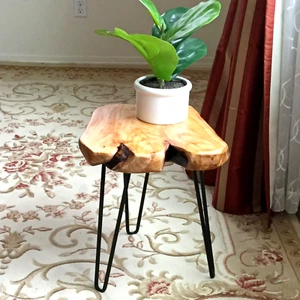 Greenage Cedar Root Table – Natural Edge Stool, Side Table or Nightstand 21" H - Picture 1 of 24