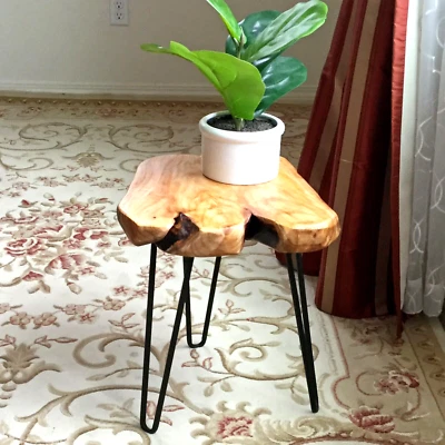 Greenage Cedar Root Table – Natural Edge Stool, Side Table or Nightstand 21" H - Image 1 of 4