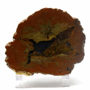 3.4" Thunderegg Agate Cluster Natural Chalcedony Fluorescent Mineral - Oregon - Picture 1 of 6
