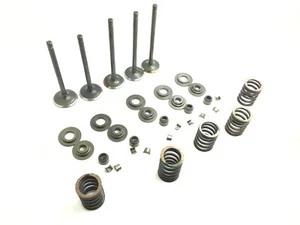 Engine Complete Valve Kit Set HiSun 750 Sector Massimo Vector Tactic RK Sector - Foto 1 di 4