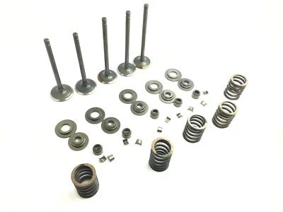 Engine Complete Valve Kit Set HiSun 750 Sector Massimo Vector Tactic RK Sector - Image 1 of 4