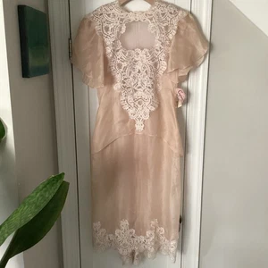 NUEVO CON ETIQUETAS NUEVO DE COLECCIÓN Vestido de organza de seda Capriccio by Digna Talla 6 superpuesto con encaje - Imagen 1 de 11