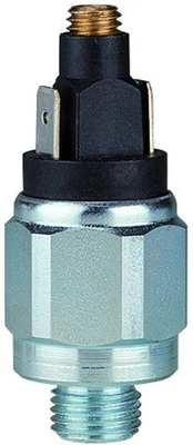 MARKENLOS RIEGLER Druckschalter Standardausführung