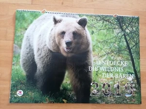 Kalender 2019 Bärenwald Müritz A3 Format Schöne Bären Fotos - Bild 1 von 14