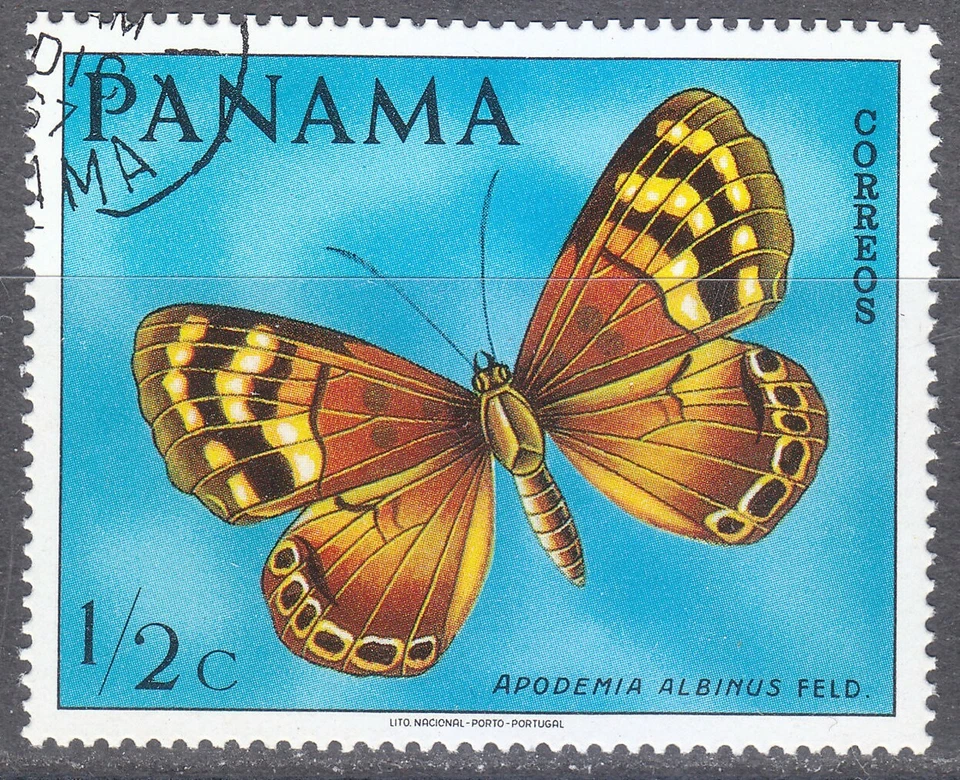 Panama 1968 CTO Sc 483 Butterfly Apodemia albinus - Image 1 of 1