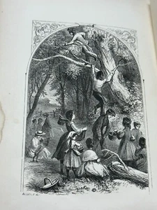 1867 American Tract Society Netty and Her Sister / The Two Paths - Phil Kennedy - Picture 1 of 11
