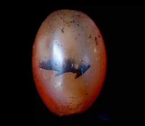 Ancient Red Pema Raka Tibetan Empire Himalayan Agate Carnelian Dzi Beads 17 mm - Picture 1 of 8