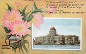 MONTANA MT STATE CAPITOL AND FLOWER VINTAGE POSTCARD c1910 041525 U - Picture 1 of 2