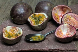 ☺25 graines de fruit de la passion pourpre autofertile - Picture 1 of 1