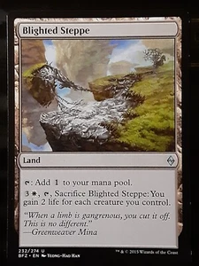 Blighted Steppe , Battle for Zendikar , Near Mint , MTG, FREE SHIPPING - Picture 1 of 2