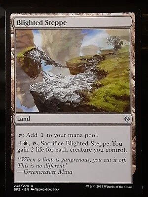 Blighted Steppe , Battle for Zendikar , Near Mint , MTG, FREE SHIPPING - Image 1 of 2