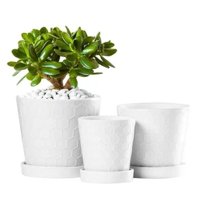Plant Pots – 4”+5”+6” inch Ceramic Planter with Drainage Holes and Ceramic Tr... - Picture 1 of 6