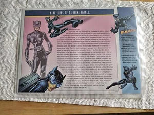 DC Comics Willabee & Ward Official Patch Collection Retro Catwoman Patch 2009 - Bild 1 von 2