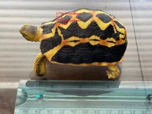 Lifelike Cute Spider Wed Pattern Tortoise Statue Reptile Resin Figure Decor 4" - Picture 1 of 4