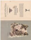 1950 Alaska Steamship Co Menu With Dog Cover By Josephine Crumrine 2