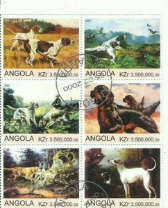 Hundekleinbogen Angola sehr hübsch - Picture 1 of 1