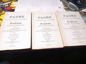 Flore descriptive et illustrée de la France par l'abbé H. Coste 