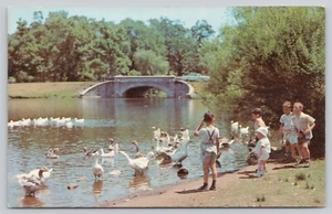 Postkarte Schwäne Roger Williams Park Providence Rhode Island - Bild 1 von 2