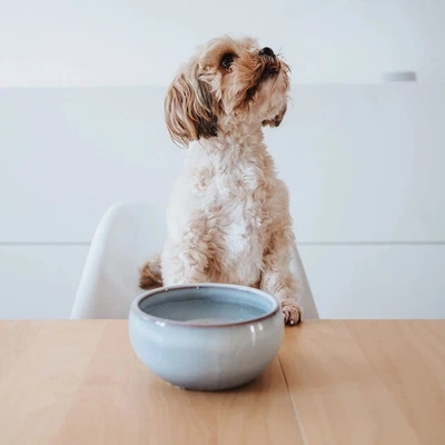 Hunter Keramiknapf Braga blau Hundenapf Futternapf Keramik - Bild 1 von 4