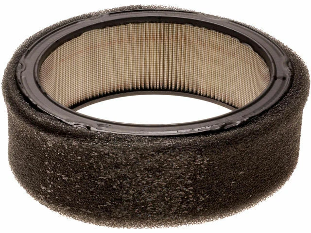 Filtro de aire profesional AC Delco para furgoneta GMC P15/P1500 1970-1972 44SHZJ Foto 1 de 1