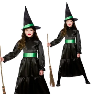 Wicked Witch + Hat Girls Halloween Fancy Dress Kids Wizard of Oz Child Age 3-13 - Picture 1 of 7