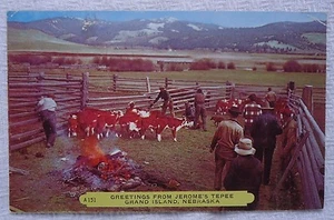 Greetings from Jerome's Tepee Grand Island Nebraska Used 1953 Color Postcard - Picture 1 of 2