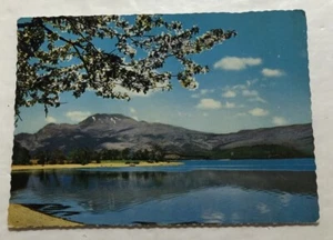 Springtime On Loch Lomond,  Dunbartonshire, Scotland. Postcard (R2) - Picture 1 of 2