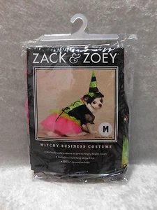 Zack & Zoey Witchy Business Halloween Dog Costume XS-XL - Picture 1 of 7