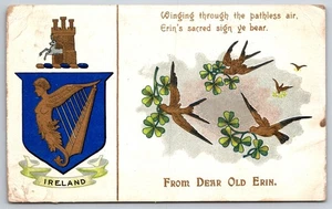 St Patrick's Day Dear Old Erin Ireland Crest Shamrocks Gilt DB Postcard XD1 - Picture 1 of 2