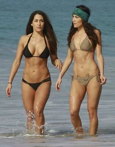 Brianna Brie Bella and Nicole Nikki Bella 8X10 Glossy Photo Picture BB2 - Picture 1 of 1
