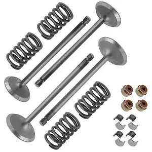 Intake & Exhaust Valve Kit For Arctic Cat 700 H1 08-17 Prowler XT 700 09 15-2017 - Picture 1 of 7