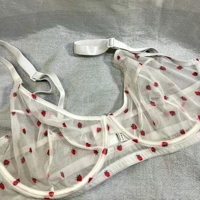 RETRO Transparent Wired Strawberry Print Bra Plus Size 2XL - Image 1 of 4