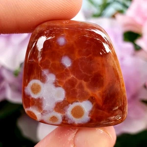 Feuerachat getrommelt poliert Naturheilkristall Edelstein aus Mexiko - #61 - Bild 1 von 5