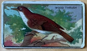 HOLZDROSSEL, SELTEN! 1910 MEKKA ZIGARETTEN "VOGEL SERIE" SAMMLERKARTE, WOW! - Bild 1 von 1