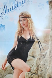 Bravo A3 Poster ca. 28 x 40 cm von Shakira oder Selena Gomez - Bild 1 von 2