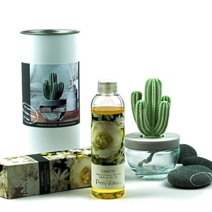 Pretty Valley Home Cactus Ceramic Diffuser Combo (Chantel) Scent 200ml - Picture 1 of 4