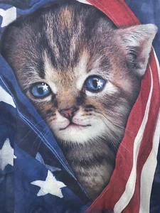 The Mountain American Cat Tie Dye Long Sleeve Shirt Large 2014 Blue Flag - Picture 1 of 5