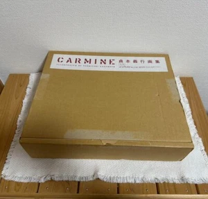 JAPAN Yoshiyuki Sadamoto Illustrated: Carmine Limited Edition (Evangelion) - Picture 1 of 10