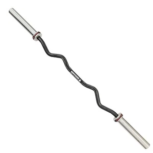 Olympic Barbell Bar 48", 2-Inch Curl Bar for Weight Lifting, Hip Thrusts, Squ... - Picture 1 of 3