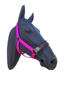 Personalized Nylon Fuchsia Horse Halter - Picture 1 of 6